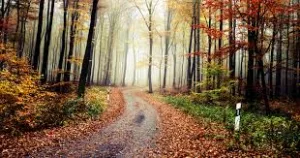 Novemberi időjárás!