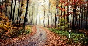 Novemberi időjárás!