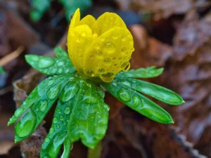 Februári időjárás 2026